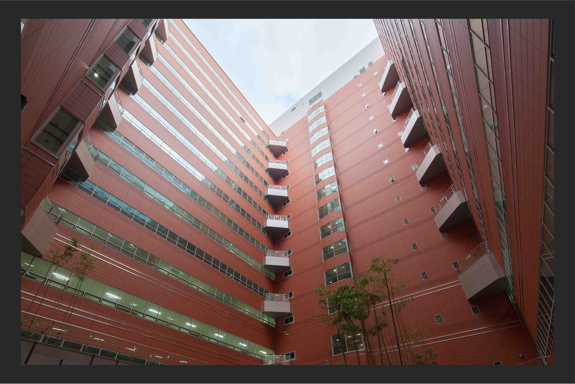 viglacera-ha-long-xuat-khau-san-pham-3